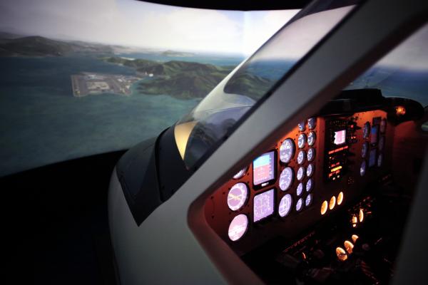 Flight simulator
