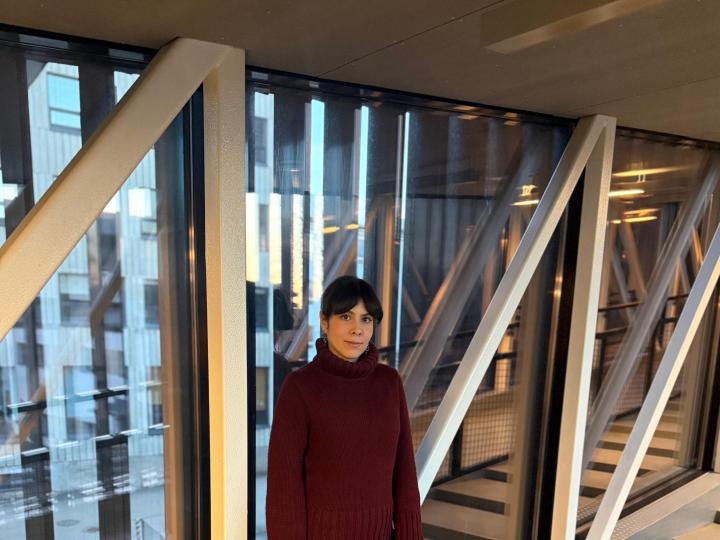 From Literature to Visual Culture: My Academic Journey in Tallinn Pierangelly 