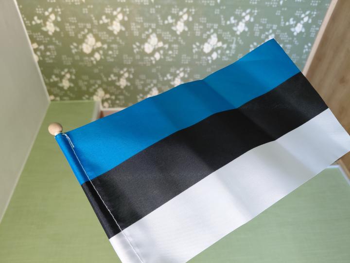 Obtaining a C1 Level in Estonian: My Story and Experience