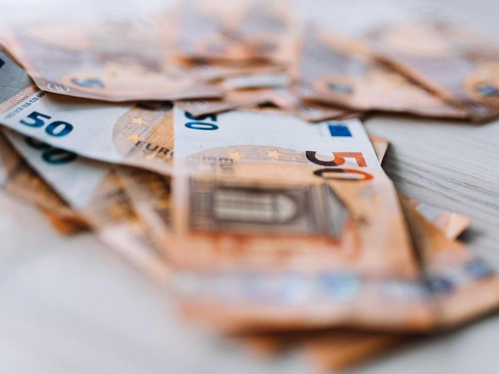 estonia unicorns